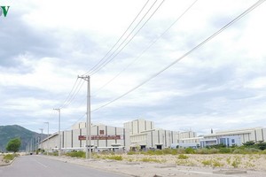 仁會經濟區一瞥。（圖源：VOV）