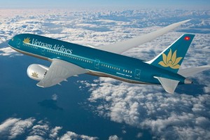 越航飛機。（圖源：互聯網）