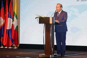 黨中央政治局委員、政府常務副總理張和平在會上致開幕詞。（圖源：潘英）