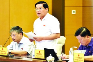 國會的民族理事會主席、監察團長何玉戰在會議上發言。（圖源：越通社）