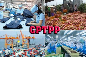 （示意圖源：互聯網）