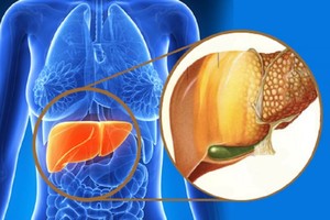 （示意圖源：互聯網）