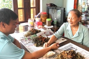 黎氏立醫師正為病人診脈。