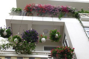 美化生活空間好是好，但須注意路人的安全。