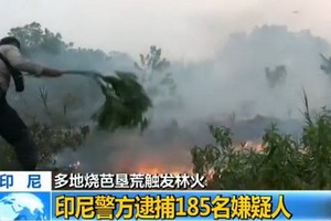 印尼警方已逮捕185名在印尼蘇門答臘島和加里曼丹島燒芭墾荒觸發林火的嫌疑人。（圖源：CCTV視頻截圖）