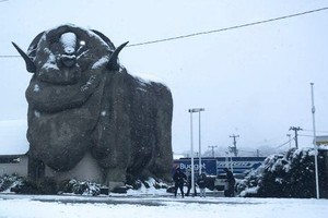 澳大利亞首都堪培拉的居民在17日早上醒來後驚奇地發現整個城市已被皚皚白雪所覆蓋。（圖源：Getty Images）