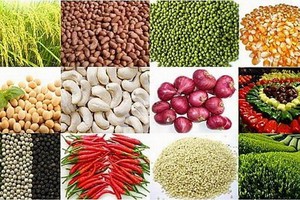 我國農產品加工工業在規模和附加值方面都蓬勃增長，每年達5％ 至7％。（示意圖源：互聯網）