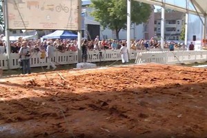 這塊超級雞排有70平方米大。（圖源：互聯網）