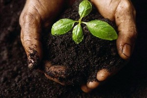 （示意圖源：互聯網）