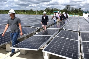 圖為後江省某一太陽能發電廠工程。（圖源：秀苑）