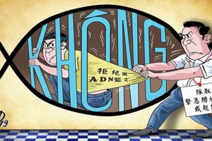 （示意圖源：DAD19）