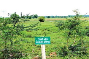 被擱置十餘載的西貢新草禽園項目。（圖源：勞動者報）