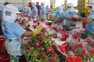 小型企業難以滿足經銷商價格要求。（圖源：PV）