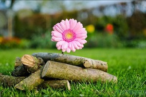 （示意圖源：互聯網）