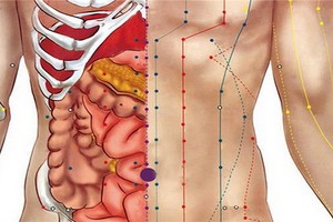 （示意圖源：互聯網）