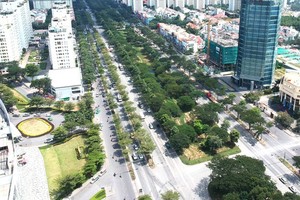 阮文靈大道沿途的綠樹。