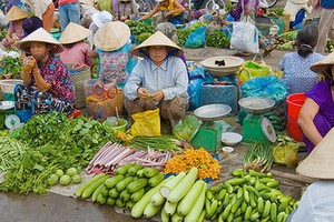 （示意圖源：互聯網）