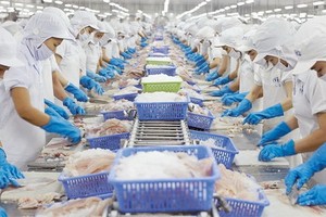 我國水產品出口到世界各地市場。（圖源：互聯網）