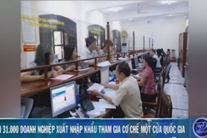 近 3.1 萬企業參加國家一站式機制。（圖源：芹苴市電視台視頻截圖）