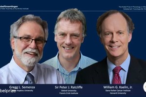 今屆生理學或醫學獎由塞門扎（左起）、拉特克利夫及凱林共同奪得。（圖源：互聯網）