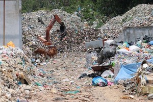 圖為崑崙島鵶灘上堆積的塑料垃圾。（圖源：農銀）