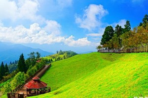 清境農場遠離城市，清新、自然與靜謐，雲霧縹緲，被譽為“霧上桃源”。（圖源：互聯網）