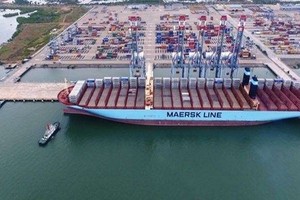 圖為巴地-頭頓省丐密-氏槐港一隅。（圖源：潘正）