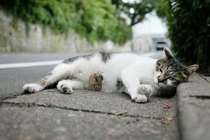 （示意圖源：互聯網）