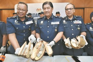 販毒團夥把海洛英藏進榴槤企圖走私毒品。（圖源：互聯網）