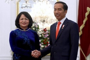 國家副主席鄧氏玉盛（左）會見印尼總統佐科。（圖源：越通社）