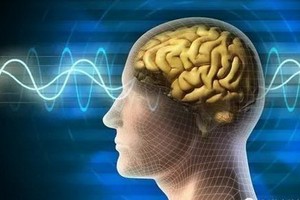 （示意圖源：互聯網）