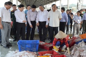 政府副總理鄭廷勇（前左二）親往視察堅江省州城縣德舅漁港和富國島的海產捕撈活動。（圖源：TTO）