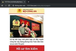 冒充峴港公安廳及公安部網頁盜取資訊。（圖源：網站截圖）