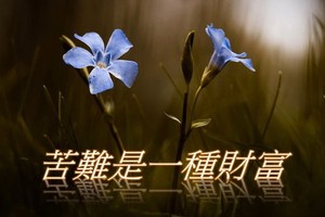 （示意圖源：互聯網）