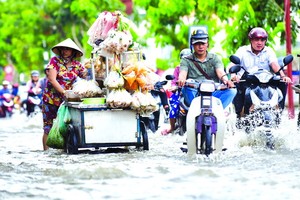 第七郡陳春撰街受淹。（圖源：田升）