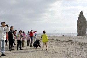 被定位為北方4島日俄共同經濟活動試行項目的首個旅遊團30日啟動。日本遊客和政府相關人士等44人當天上午乘船在國後島登陸。（圖源：共同社）