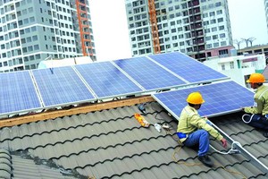 本市加強發展太陽能源。（圖源：陲楊）