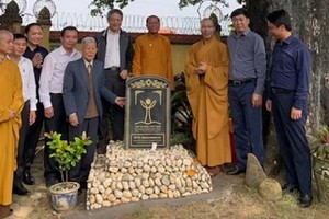 900 年黃柿樹獲公認為遺產樹