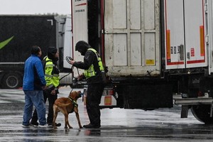 法國當局於例行檢查時查獲藏有31名巴基斯坦人的貨車。圖為示意圖，與新聞內容無關。 （圖源：歐新社）
