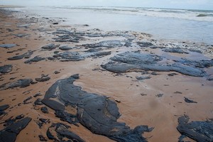 巴西東北部海灘今年9月初出現原油污染，目前已波及200多片海灘。（圖源：互聯網）