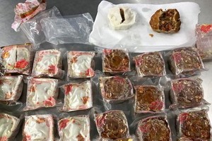 攜帶違規物品入境澳洲被查獲的豬肉餡月餅。（圖源：ABC/澳洲農業部）