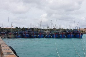 多艘漁船在長沙島縣生存島上的船閘處拋錨避風。（圖源：公歡）