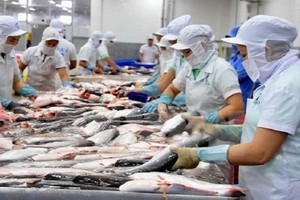 查魚出口生產線。