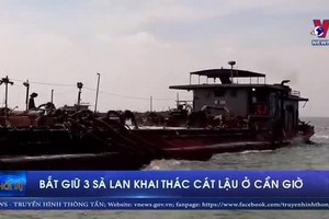 三盜採沙駁船被查獲。（圖源：VNews視頻截圖）