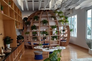 學校關注給孩子灌輸綠色空間意識。