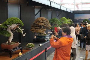 2019年第十五屆亞太盆景與奇石盛會將有逾50個國家參加，展出近1000盆盆景，250多件奇石作品，逾100幅觀賞生物藝術圖片等。（圖源：光宇）