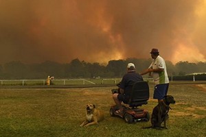 當地時間 11月12日，叢林大火在悉尼以北約600公里的Nana Glen小鎮附近肆虐。（圖源：AFP）