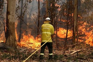 新南威爾士省的山火蔓延。（圖源：AP）