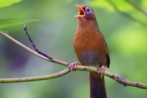 （示意圖源：互聯網）