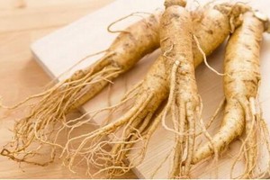 人參歷來被視為“百草之王”。（示意圖源：互聯網）